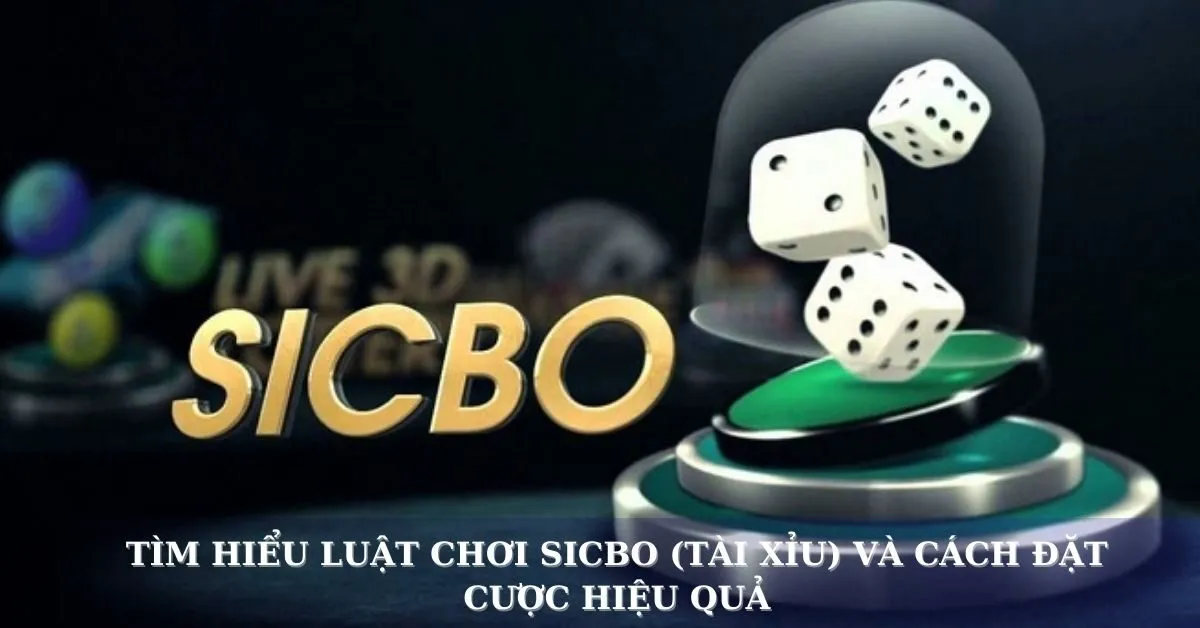 Tìm hiểu luật chơi Sicbo (Tài Xỉu) và cách đặt cược hiệu quả
